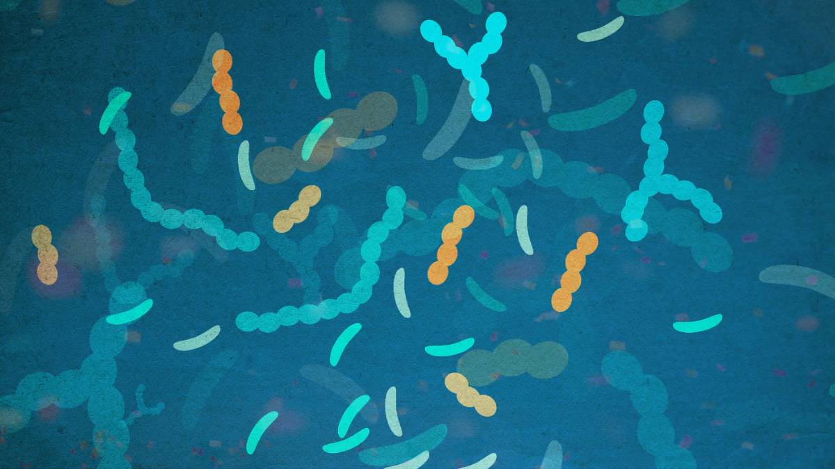 What’s a Microbiome?